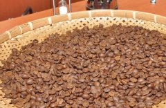 埃塞俄比亞yirgacheffe產地耶加雪菲咖啡豆烘焙度手衝風味介紹