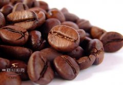 咖啡豆的種類