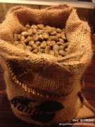 高品質咖啡豆--蘇門答臘阿榭之金