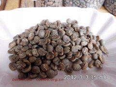 咖啡豆圖片 黃金曼特寧生豆 golden mandheling