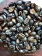 老咖啡同學用貝貝一號咖啡烘焙機烘焙的雲南咖啡豆