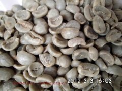 咖啡豆圖片 印尼rasuna拉蘇娜曼特寧生豆
