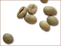爪哇中粒咖啡豆圖片（Java Robusta)