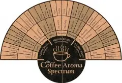 SCAA咖啡杯測流程