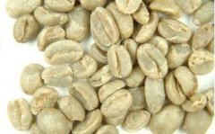 非洲咖啡生豆剛果基伍4/Kivu 4