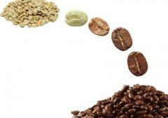 咖啡豆烘焙理論﹙一﹚