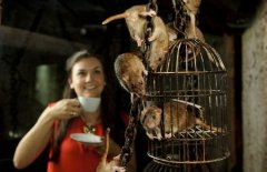 倫敦開老鼠咖啡館 18老鼠陪你喝咖啡