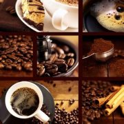 咖啡種植條件及分佈