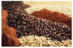 小粒種咖啡對生長環境特殊的“要求”