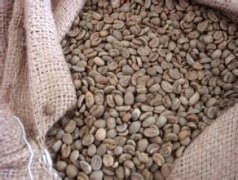 精品單品咖啡豆 印度尼西亞蘇拉威西島咖啡