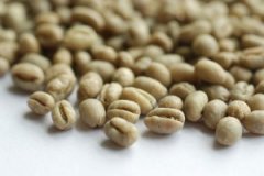 危地馬拉最著名的精品咖啡 薇薇特南果咖啡豆