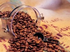 咖啡生豆處理方式介紹—蜜處理法