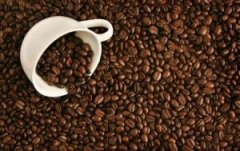 咖啡生豆的分級