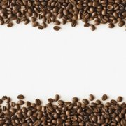 關於精品咖啡的判斷標準