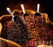 真正意義星巴克 美國咖啡文化的象徵(2)