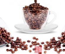 生咖啡豆最佳喫法