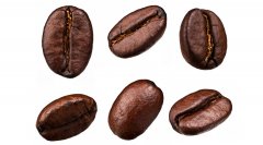 （轉）如何鑑別好的咖啡豆？和挑選咖啡豆
