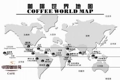 關於咖啡的種植條件