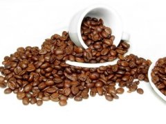 咖啡豆採摘後的兩種簡單處理方法