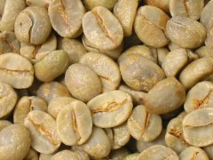 精品咖啡生豆怎樣分級分類說明