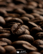 世界精品咖啡產區 洪都拉斯產咖啡
