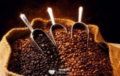 世界精品咖啡產地 科納咖啡