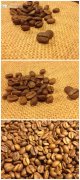 世界精品咖啡產地 尼加拉瓜咖啡豆