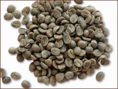 咖啡百科 如何挑選咖啡生豆