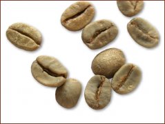 巴西小粒咖啡豆圖片（Brazilian Arabica)