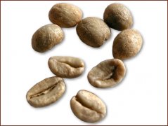爪哇小粒咖啡豆圖片（Java Arabica)