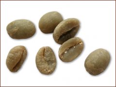 咖啡豆 摩卡咖啡豆圖片（Mocha)