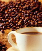 咖啡的學問 極品咖啡的重要元素