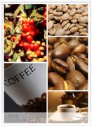 世界上最著名的8大咖啡—埃塞俄比亞咖啡 酸香醇厚