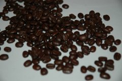 薩爾瓦多咖啡產地 雷納斯莊園咖啡豆