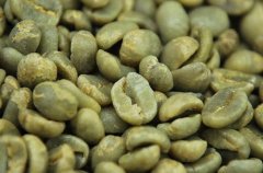 咖啡莊園豆 拉米妮塔精品莊園咖啡豆