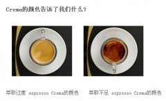 咖啡師培訓基礎 解析什麼是咖啡的Crema