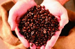精品咖啡豆介紹 關於“豆後”—科納