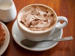 日本拿鐵咖啡拉花現逼真貓咪圖案