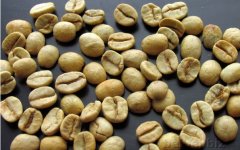 精品咖啡豆介紹 巴西山多士咖啡生豆