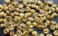 精品咖啡豆介紹 印尼爪哇羅布斯塔生豆