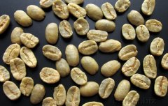 精品咖啡豆介紹 古巴馬拉戈日皮咖啡象豆