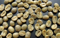 精品咖啡學 雲南BM種（藍山種）咖啡生豆