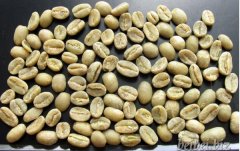 精品咖啡學 埃塞爾比亞耶加雪啡咖啡生豆