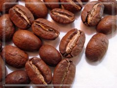咖啡豆 精選水洗皇家羅布斯塔咖啡豆