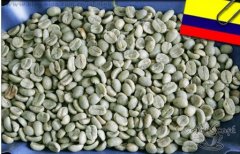精品咖啡豆 哥倫比亞優質莊園咖啡生豆