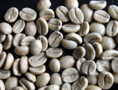 精品咖啡豆推薦 CoE 競賽優勝咖啡豆