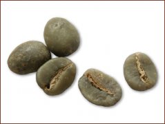 精品咖啡豆推薦 卡迪姆咖啡豆圖片（Catimor)