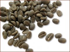 精品咖啡豆推薦 博邦咖啡豆圖片（Bourbon)