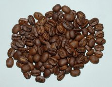 精品咖啡豆推薦 蘇門答臘19目曼特寧