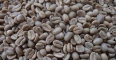 精品咖啡豆 埃塞俄比亞咖啡簡介